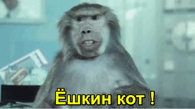 6aaac.gif