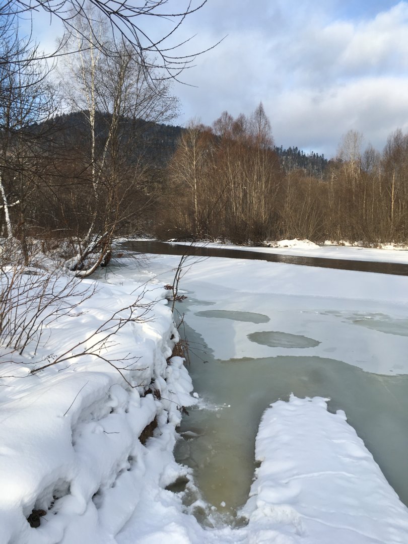 6DD4D783-F006-4140-BB5F-55523709BC32.jpeg