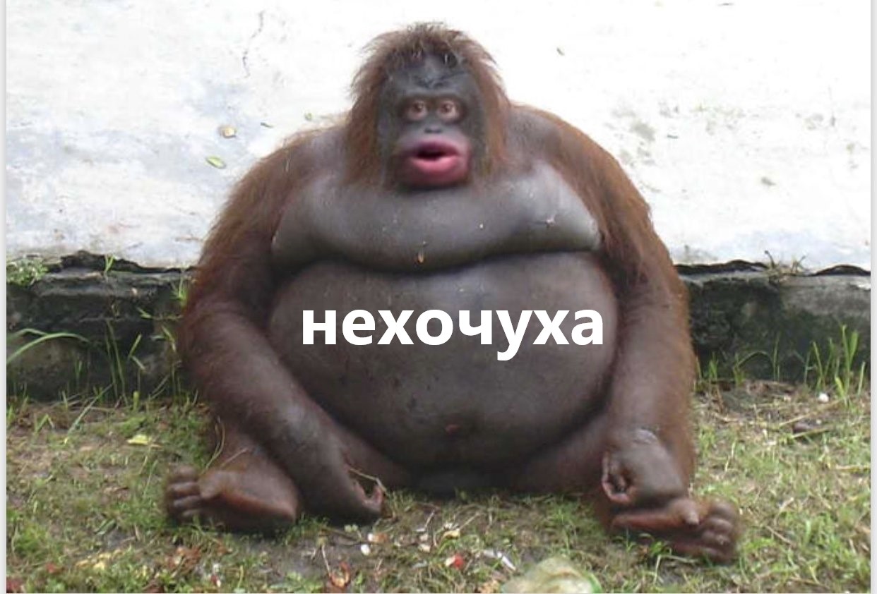 72659231.jpg