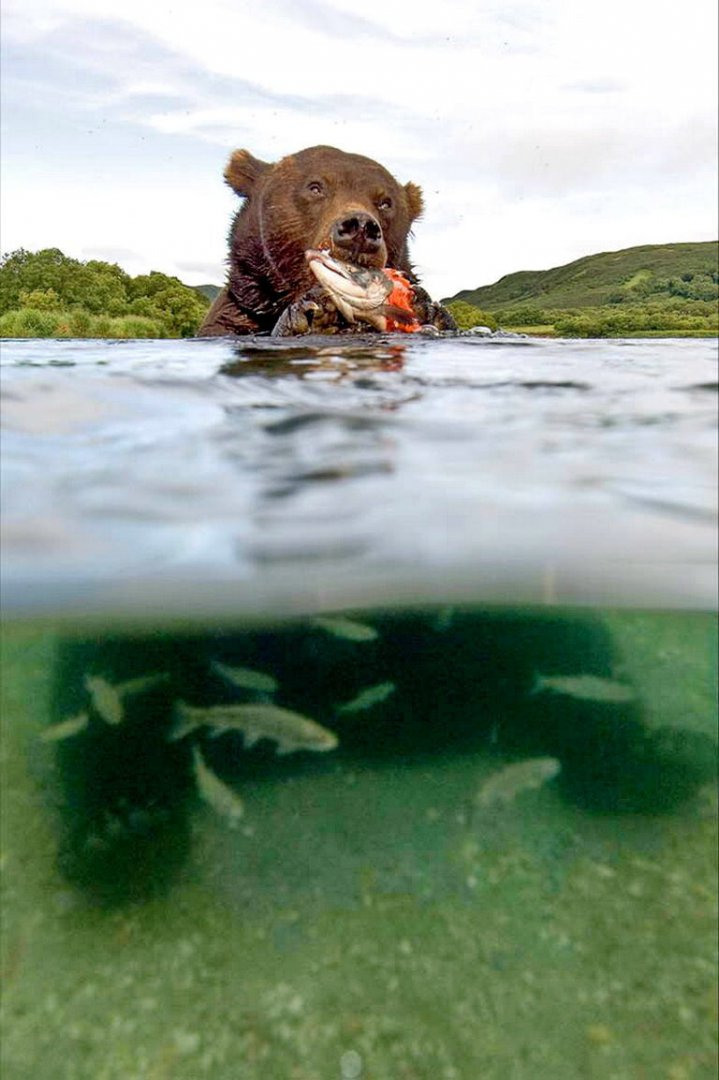 74.jpg