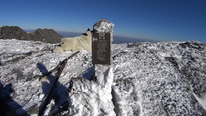 74 Тордоки Яни Моложавый.jpg