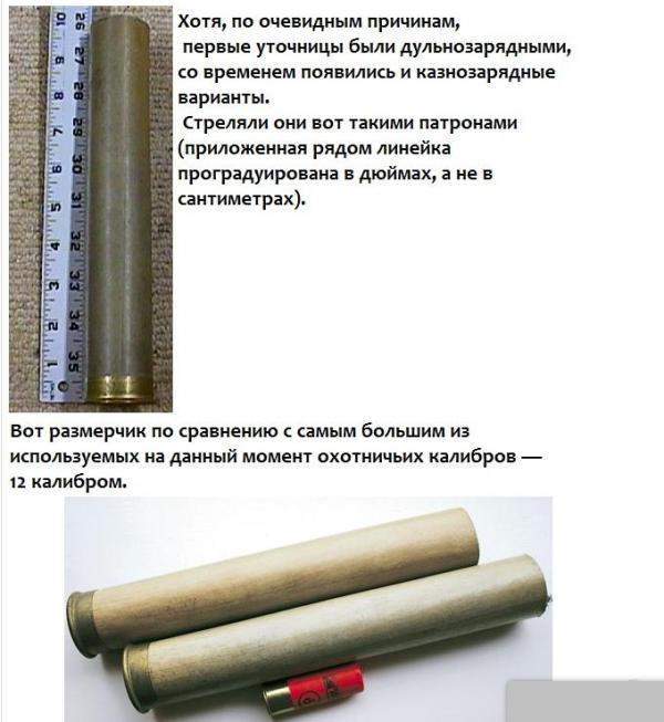 7449533.jpg