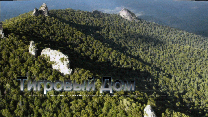 77 Тигровый дом Решетников.jpg