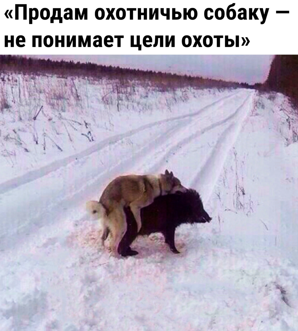 7D9DFBB9-5102-4F08-81A7-E6ECAEE95E65.png