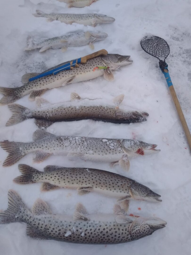 7df79d2a-6390-4ce9-965c-e94dd1e0ad1a (1).jpg