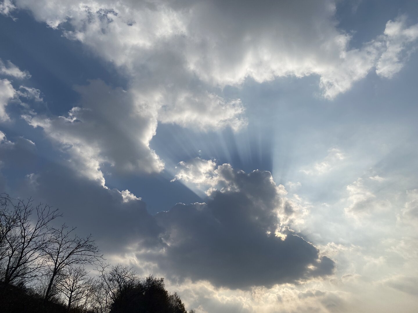 80185340-7B10-45C8-9B84-8286A11D7923.jpeg