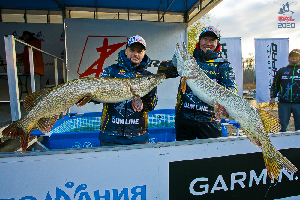 8060ca9f109f7d8b2c88f51d0fb3516a.jpg
