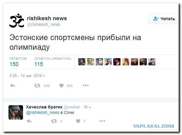 8235721.jpg