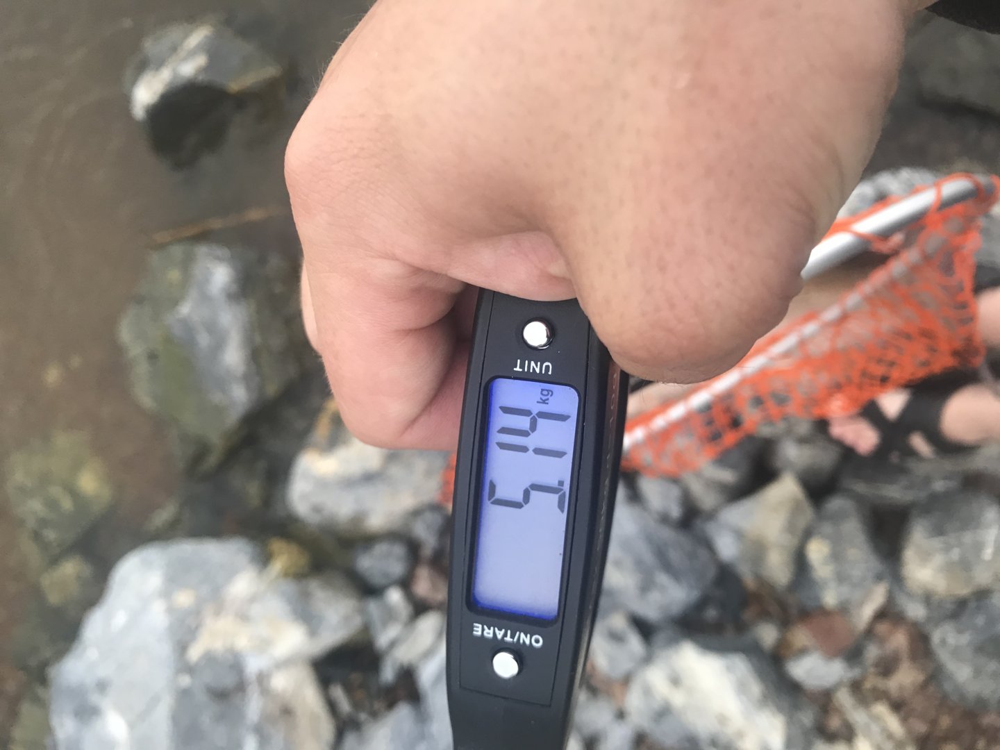 83117B1E-8F98-4EDC-838E-62F5FA67982D.jpeg
