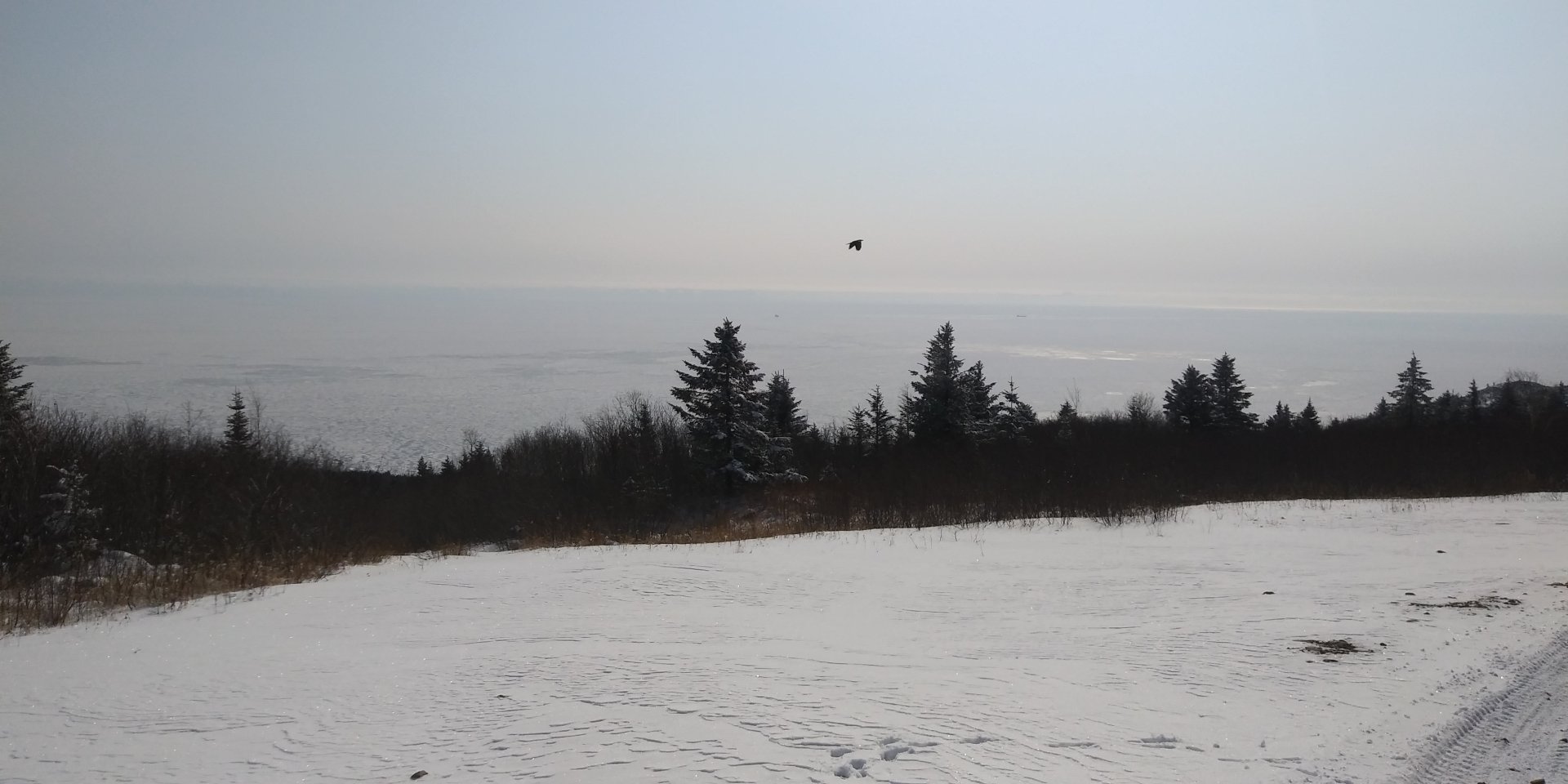 839C24EA-0C94-4857-A57A-1CAFED4DDF03.jpeg