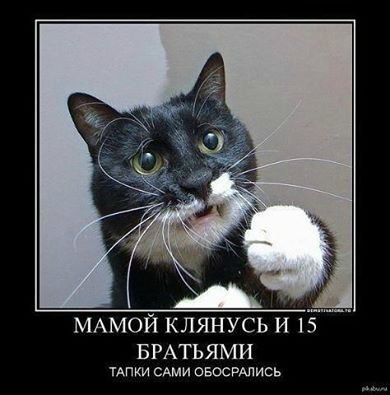 83a77b4ee045.jpg
