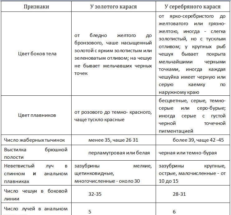 86955804.jpg