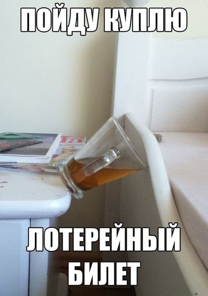 884222.jpg