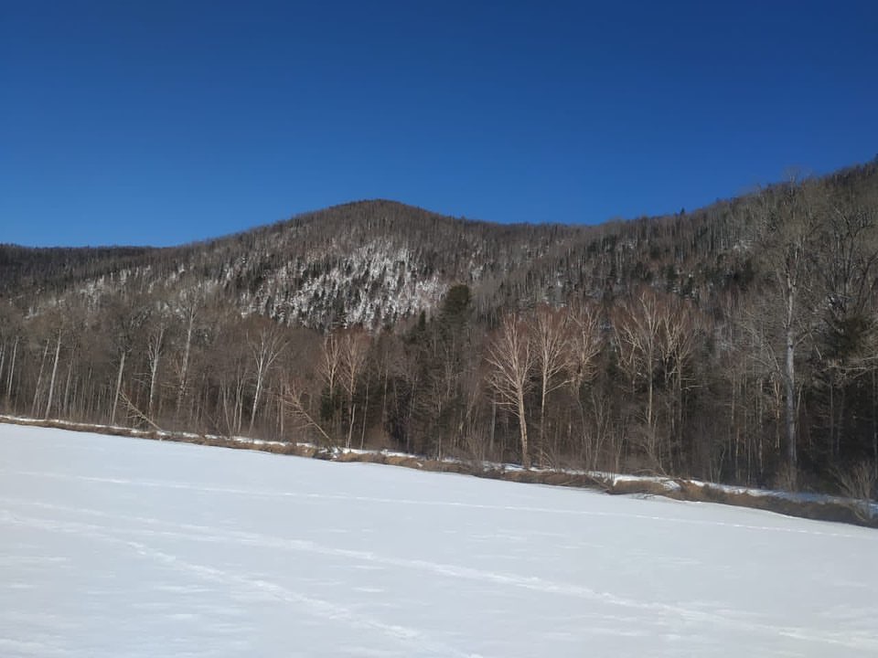 884B0359-CEF1-4A20-AC9B-CE54C4ABD377.jpeg