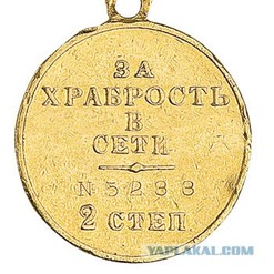 8881421.jpg