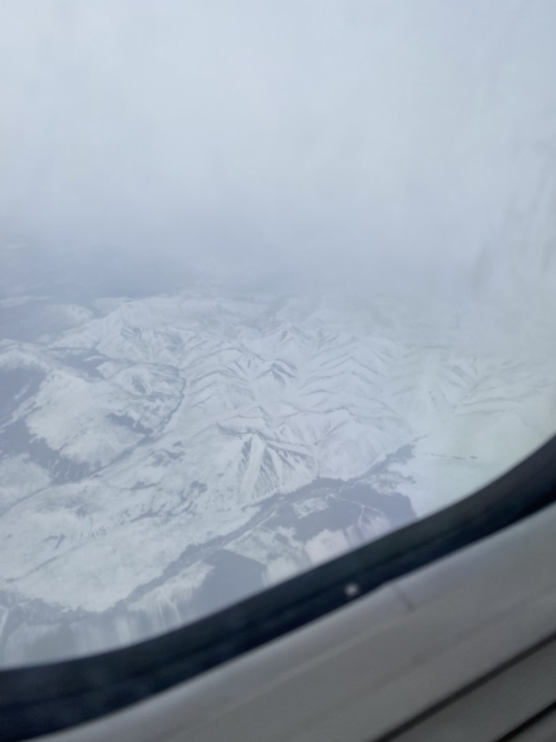 8A086867-88AB-43C7-BD0B-096C9E37AE1B.jpeg