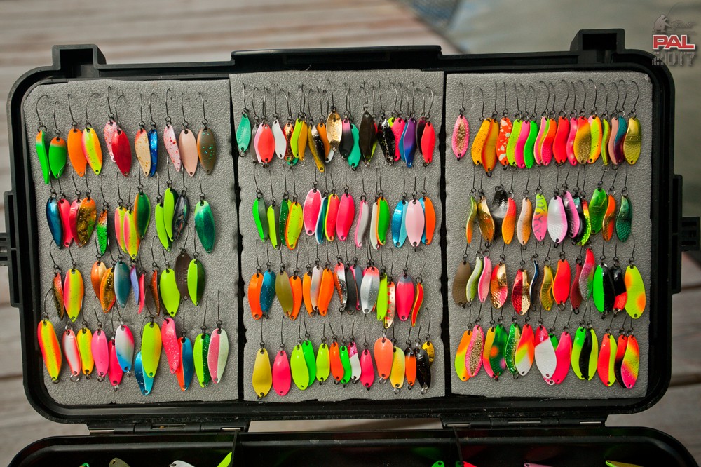 8b078764aab4edb14abd379480df0e3b (1).jpg