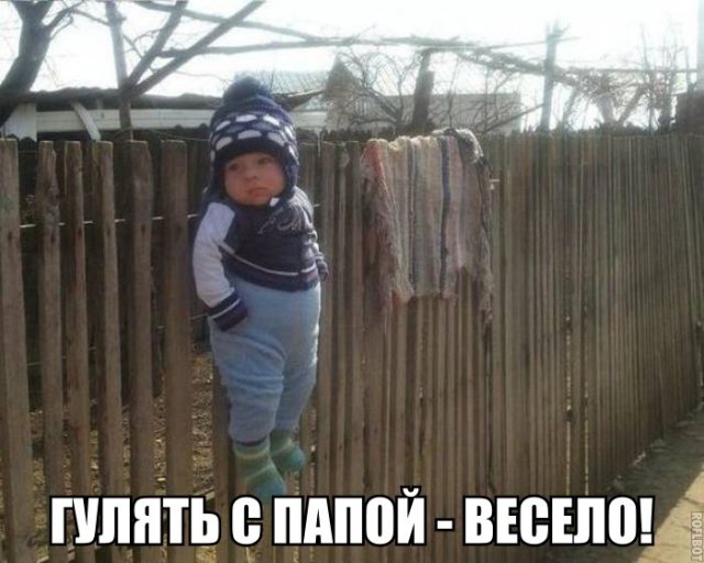 9033547.jpg