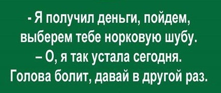 9072478.jpg