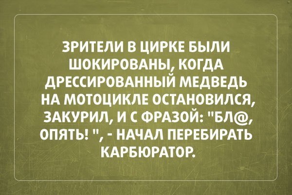 9076287.jpg