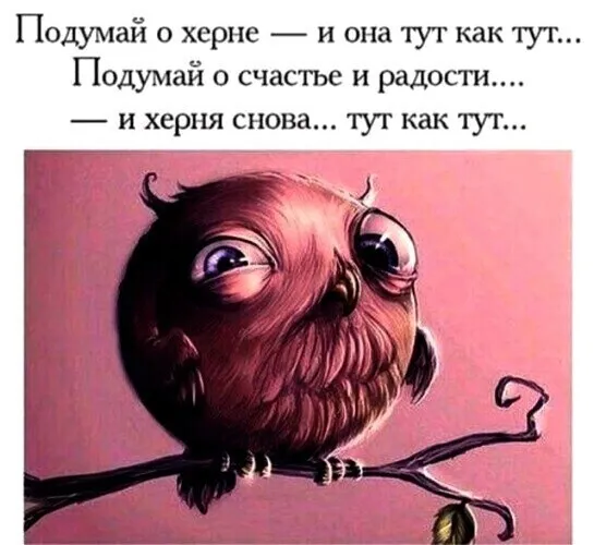 9099.png