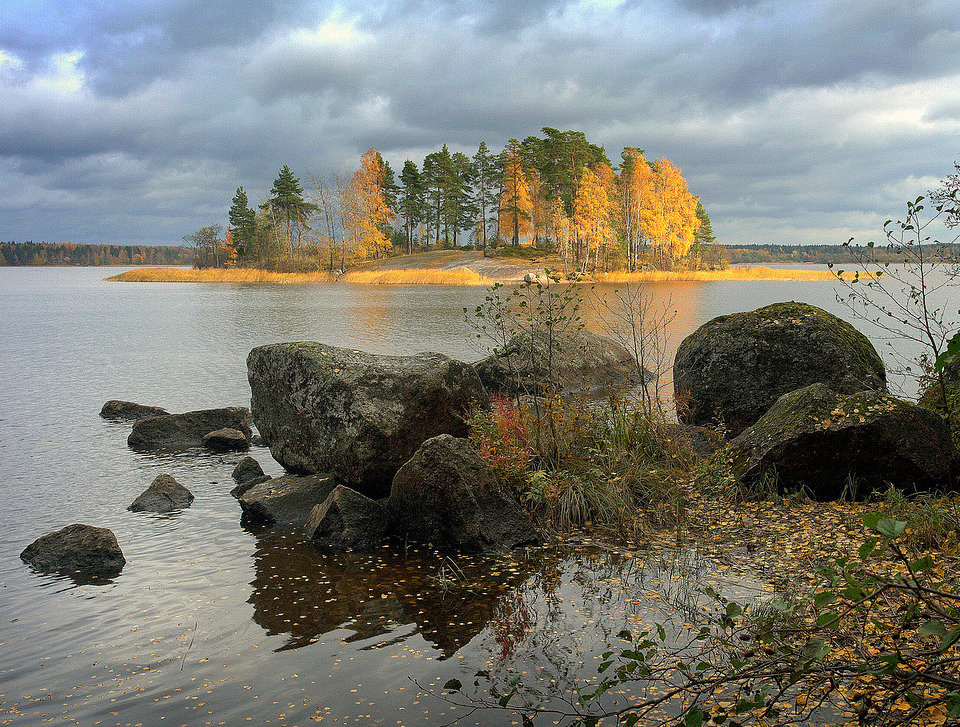 91.jpg