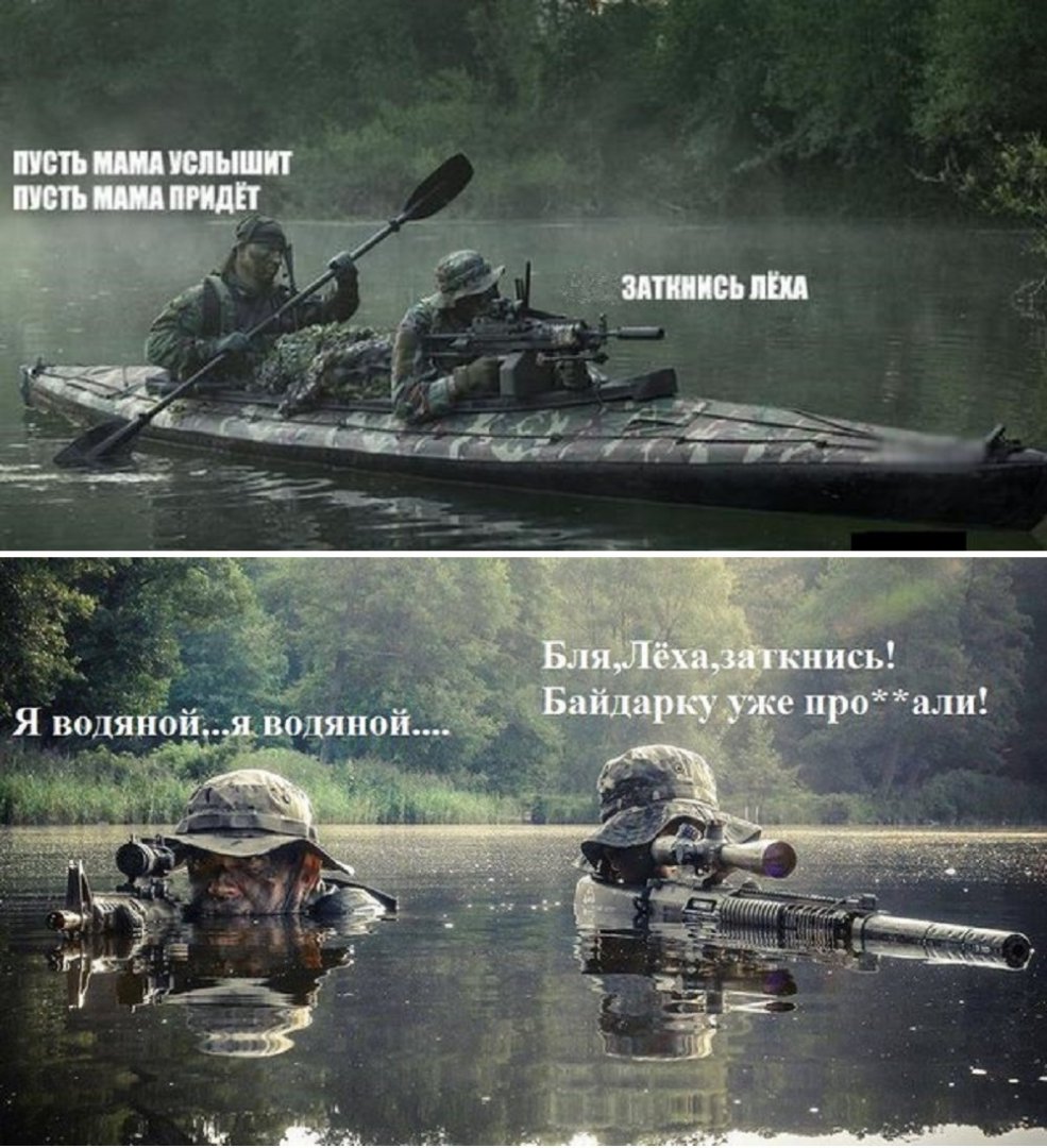 9269120.jpg
