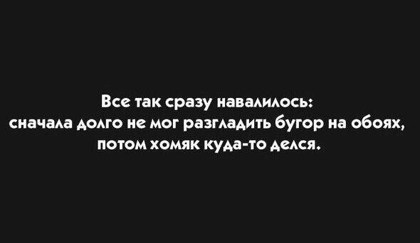 9369129.jpg