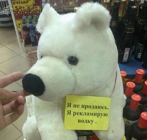 9426076.jpg