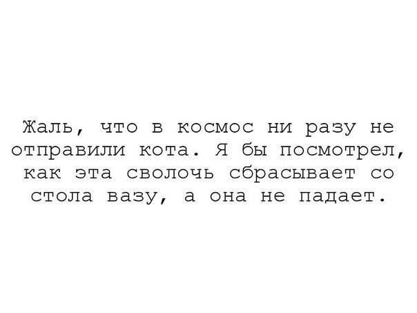 9427322.jpg