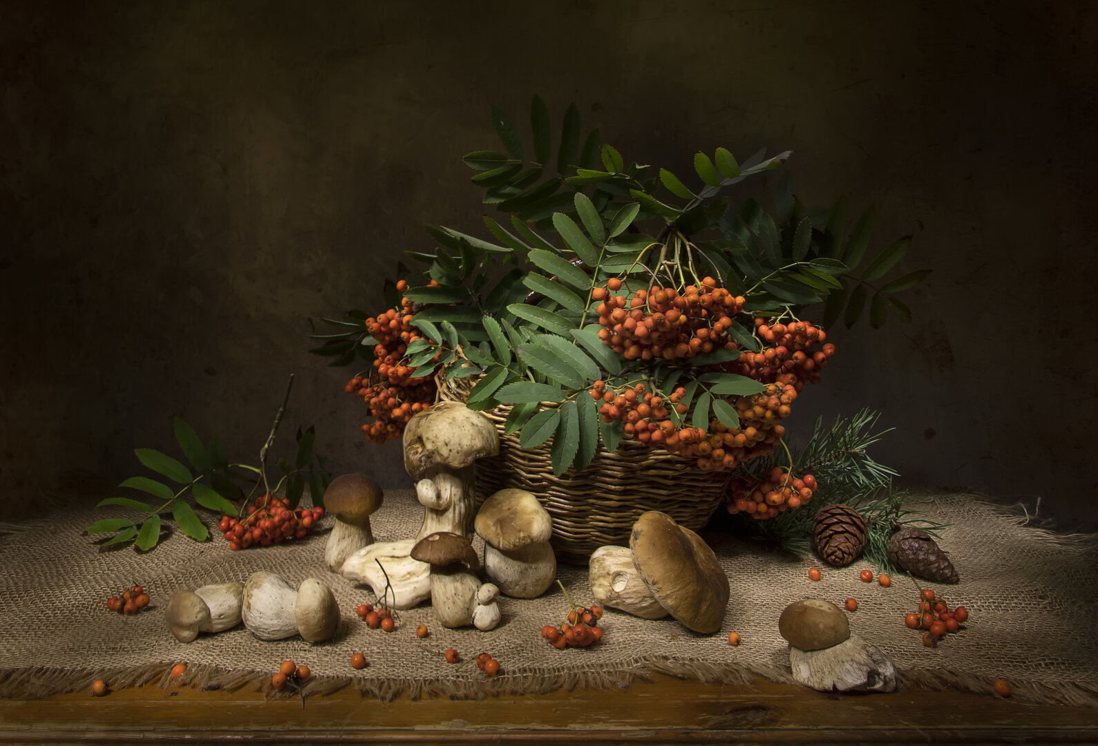 9521859.jpg