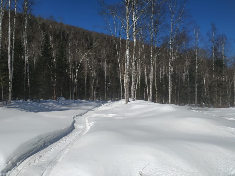 95702908-D055-42D7-839A-5A3539DAB296.jpeg