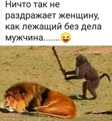 960_1.jpg