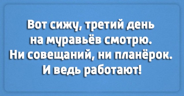 9691522.jpg