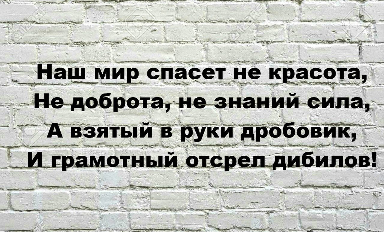 9856180.jpg