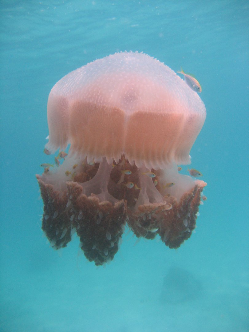 98765.JPG