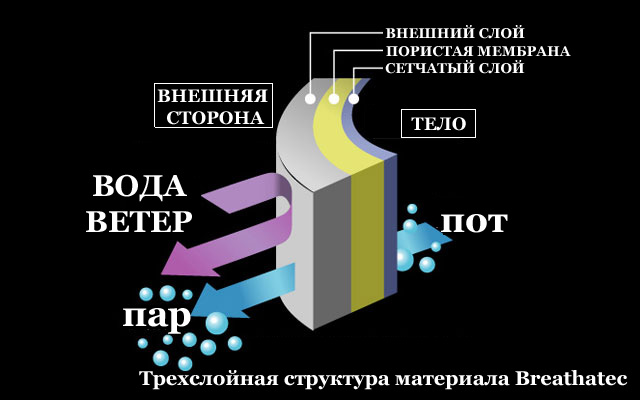9bc1dd2368b34809a05775eb052b6756.jpg