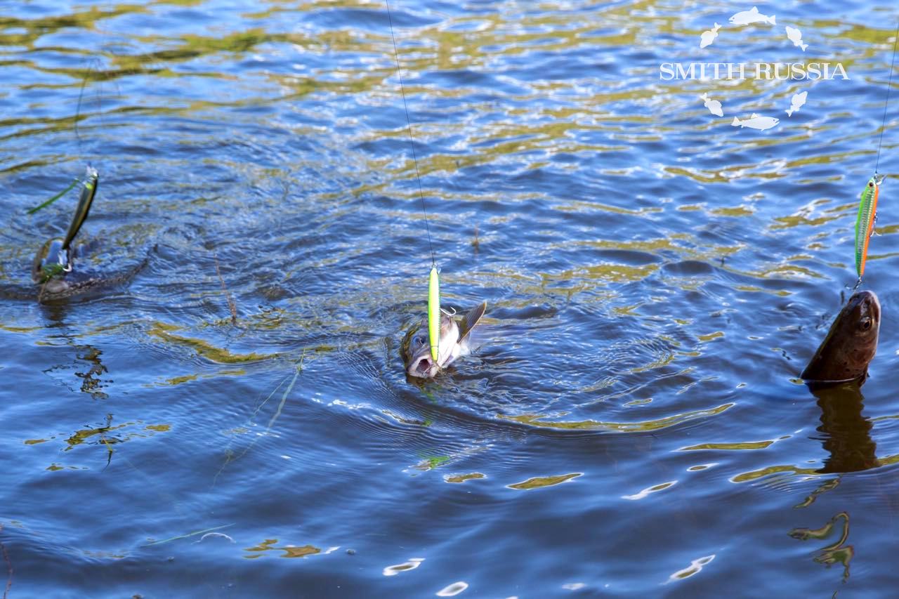 9eb48a80-ab2b-4ada-a2b2-b50a12251f37.JPG