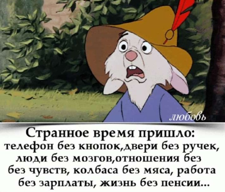 9ED4C72F-714E-448E-B509-73C6EBE2742B.jpeg