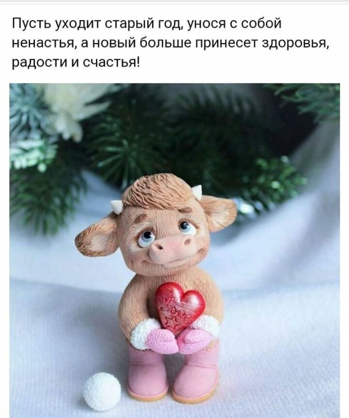 _20201231_062110.JPG