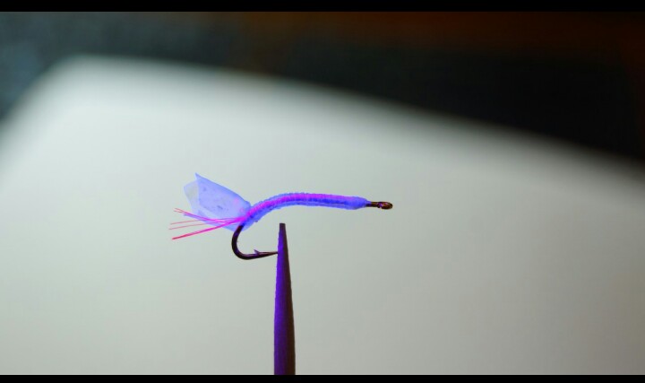 _20210127_202337.JPG