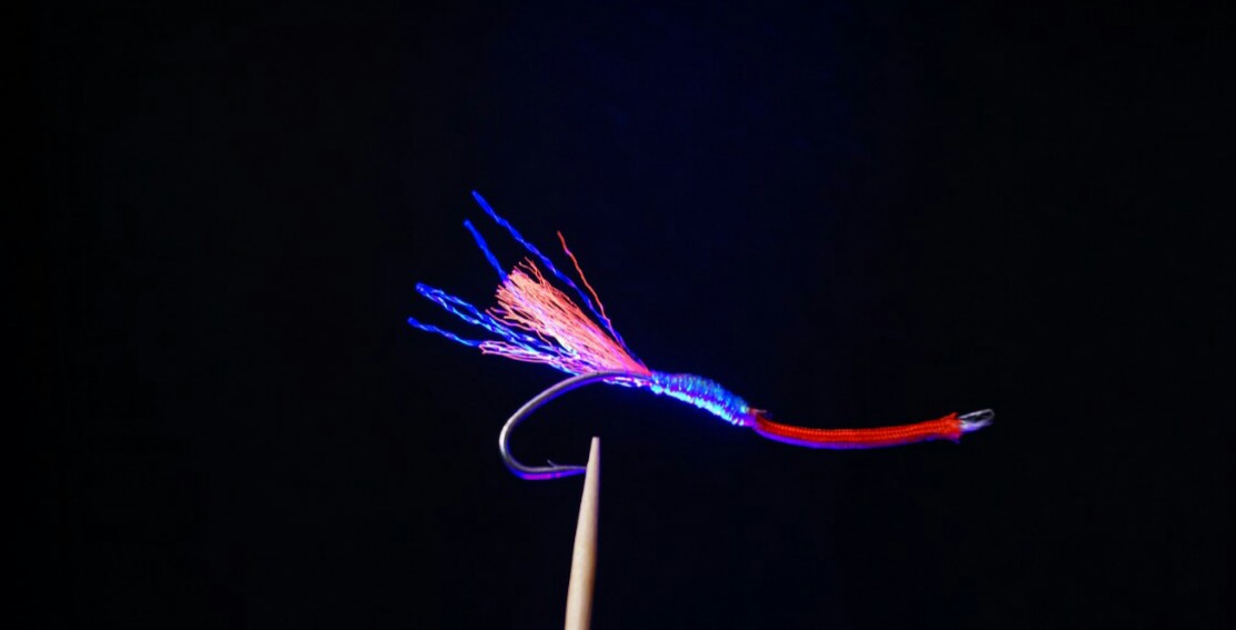_20210327_155446.JPG