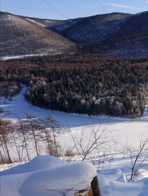 _20220106_155354.JPG