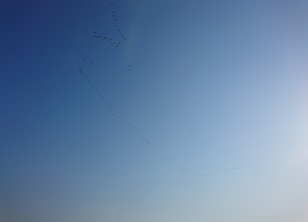 _20220511_171512.JPG