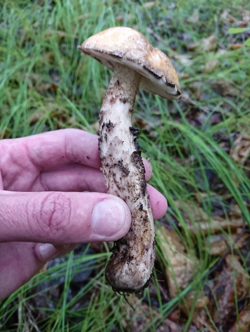 _20220618_152051.JPG