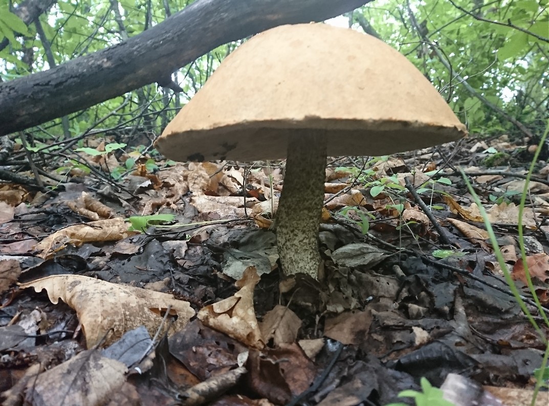 _20220626_111347.JPG