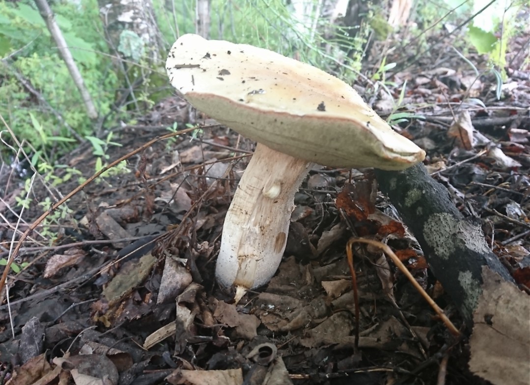 _20220626_111410.JPG