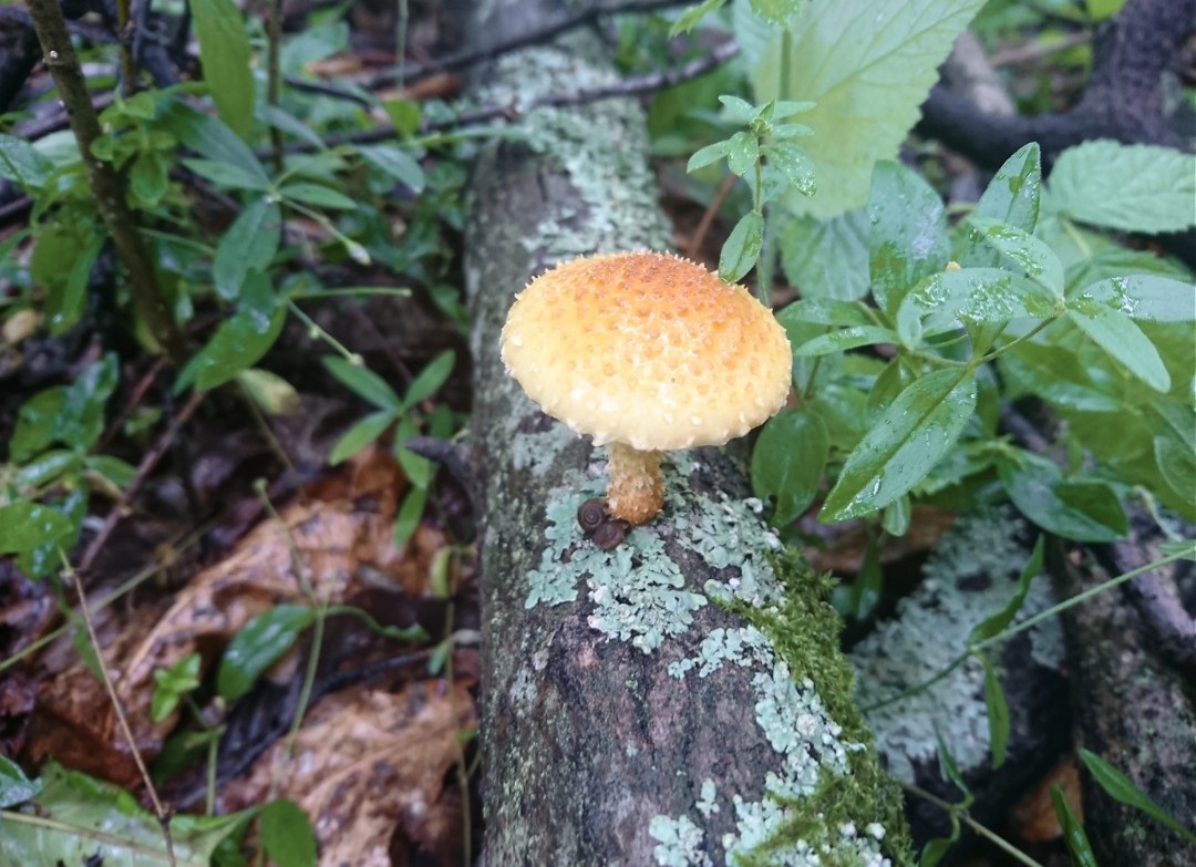 _20220626_111602.JPG