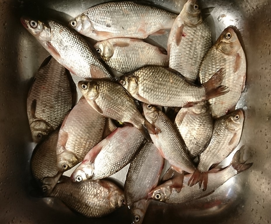_20220927_204135.JPG