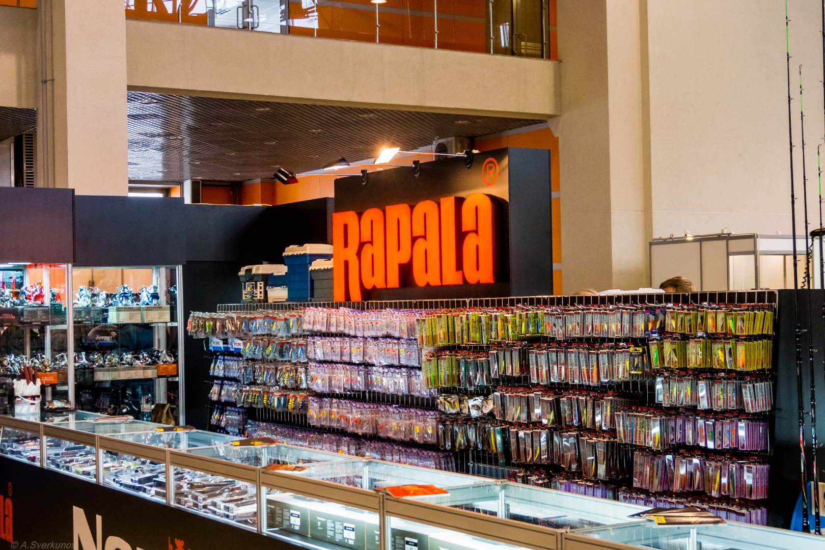 _2271700.jpg